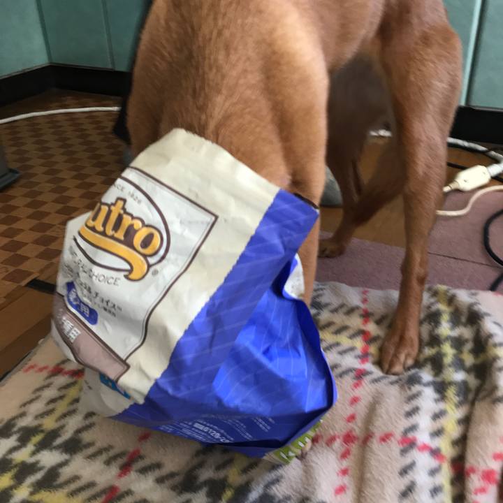 633f1a61 5b16 4072 94a3 6200314ec179 1520655878098