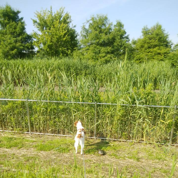 633f305e 4a08 4e2a a4ad ddcd47613880 1529972453314