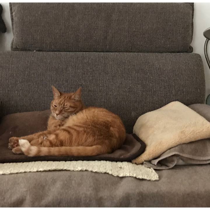 633f4e36 8e9f 4081 820d a411c25eaa14 1580177761824