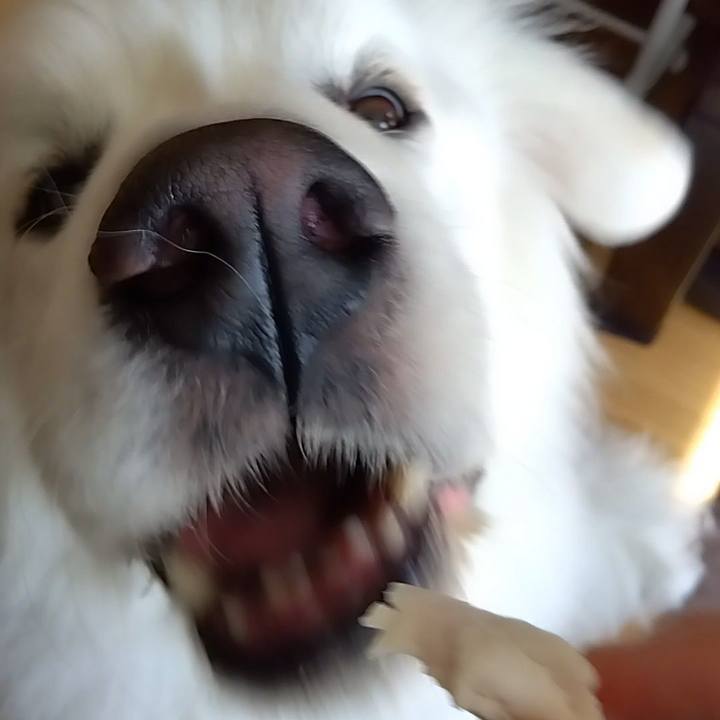 633f6b0f d802 4460 aed6 d8e735f6ed29 1714654891828