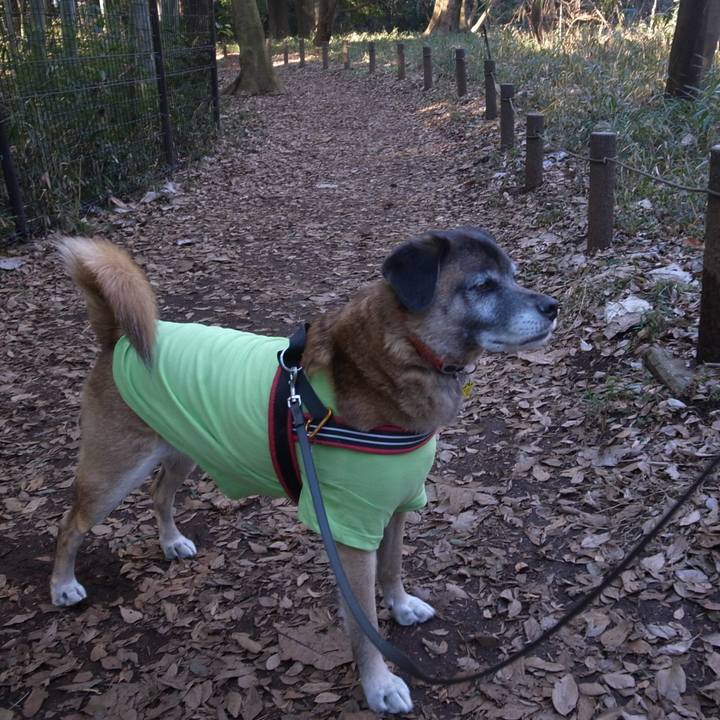 633f8308 297b 467b a023 2a1fa3554b26 1594291892243