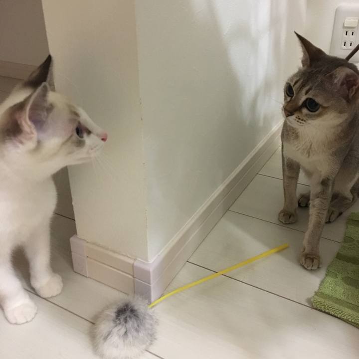 633f9f46 0ca7 444f b369 e20c625622f2 1511024791787