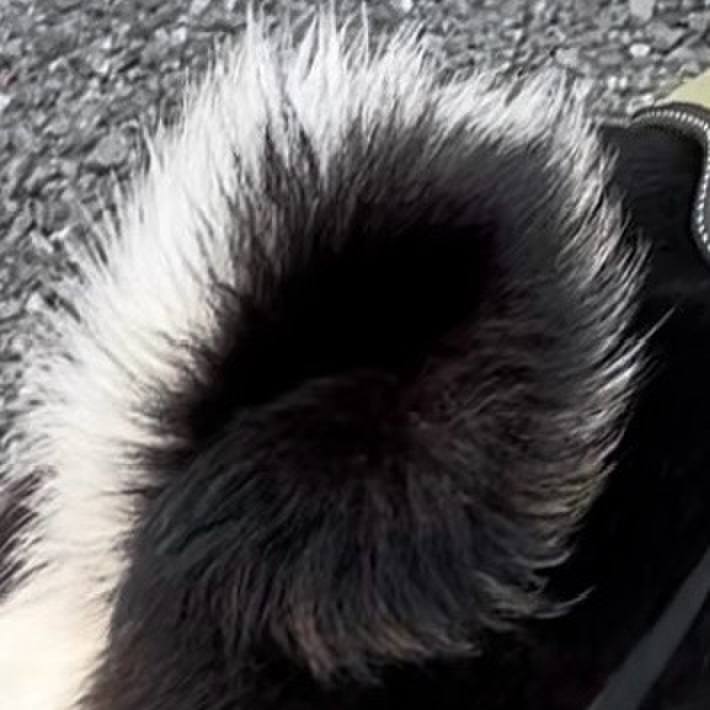 6340053c 1e75 4bdb 9958 5056697ece20 1726237207637