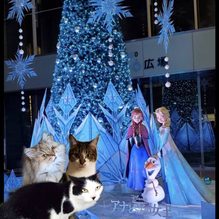 63405114 f311 4902 b28a 69e0a3698912 1702910040829