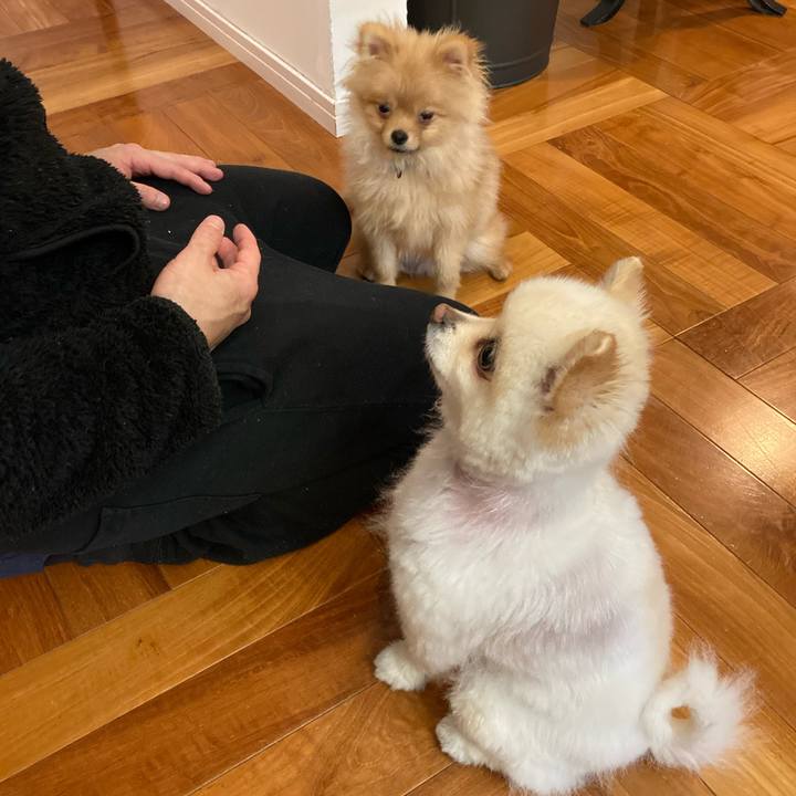 63405900 29c0 430f bd53 54cbfbb70576 1643799236363