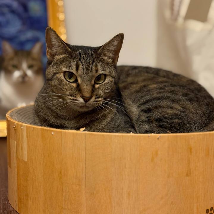 63405a57 8024 458e 88c8 e6184b57175f 1759829566008