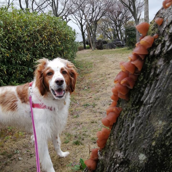 63409464 3720 40ad 88c0 8701995ecff4 1583829972758