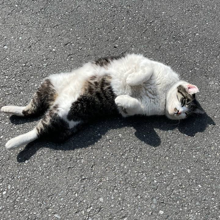 6340dbdb 230e 4527 ad5c a90b0352713d 1645259802174