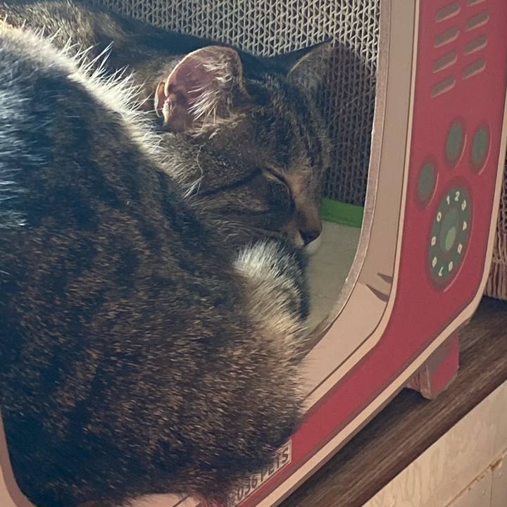 634103c0 32df 4659 8176 a2db1f27cd6b 1644032703745