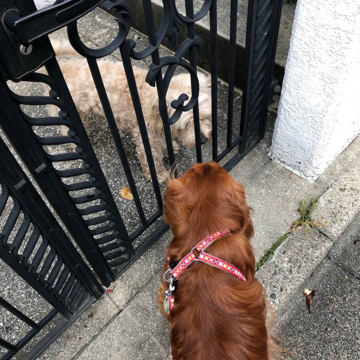 63410fb5 0949 49aa 950a 5431c91a548c 1592122028523