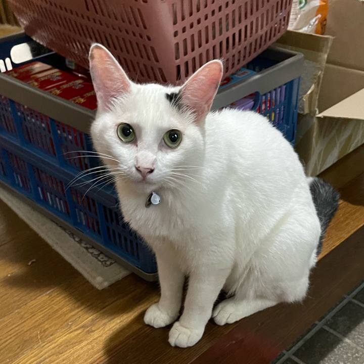 634116f2 c991 4234 bcb0 76d86a23fa83 1754189915456