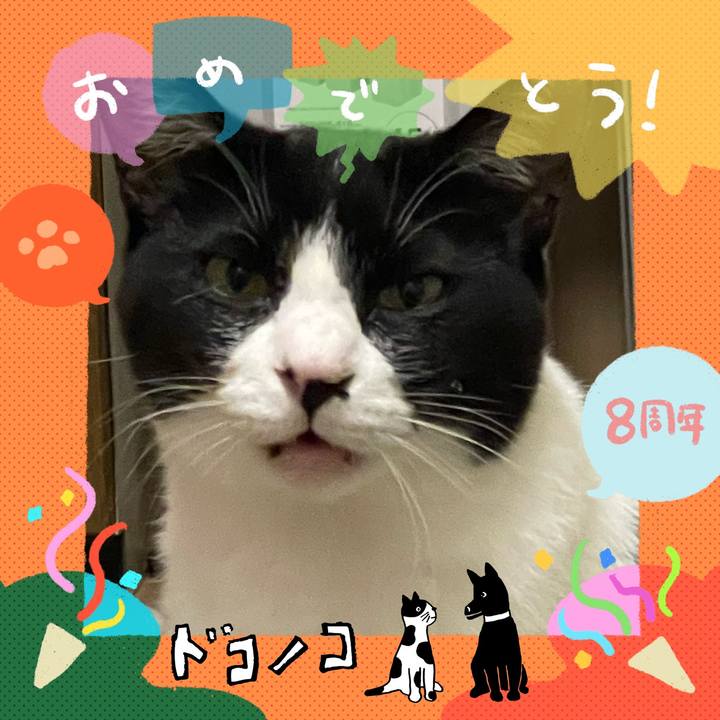 63412690 c1aa 424e 853e 0753dc03d6cf 1717597711708