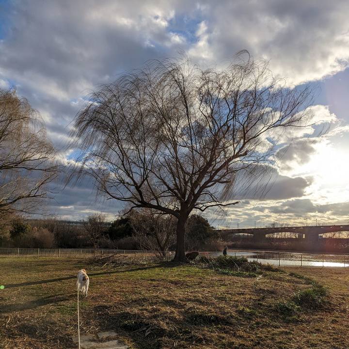 63413a92 d9e6 4161 81ae 3d3101b238d6 1674300324893