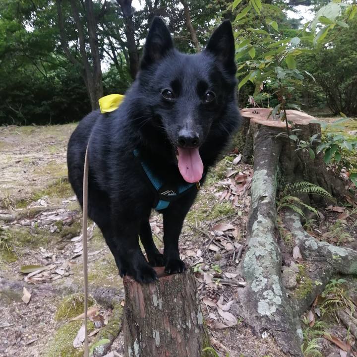 63413c3c 2e90 4cde a3bf fb5097c937ee 1656108538325