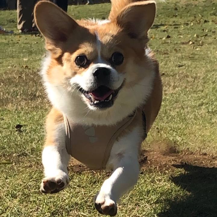 63413f85 0be8 44cc b28f 45dfdac1a19d 1603808248270