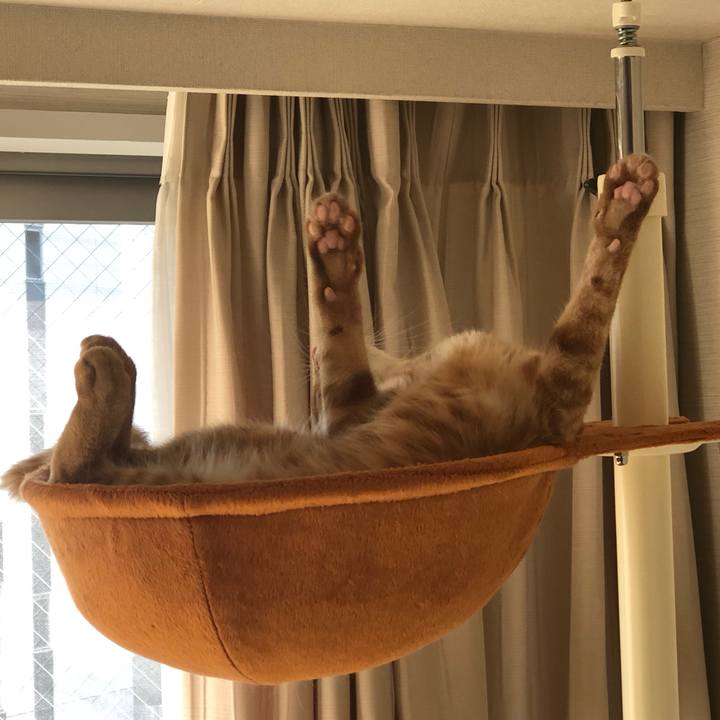 63415a88 867b 4f4c 89ea 77ab2450817d 1635915009113