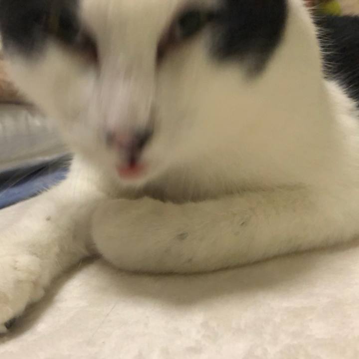 63415c67 ee0a 45e4 91f5 e3eb1d7e820e 1553563803828