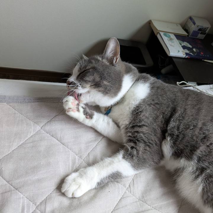 63415d0c 16b0 441a 8338 477a824aa7ed 1749349923847