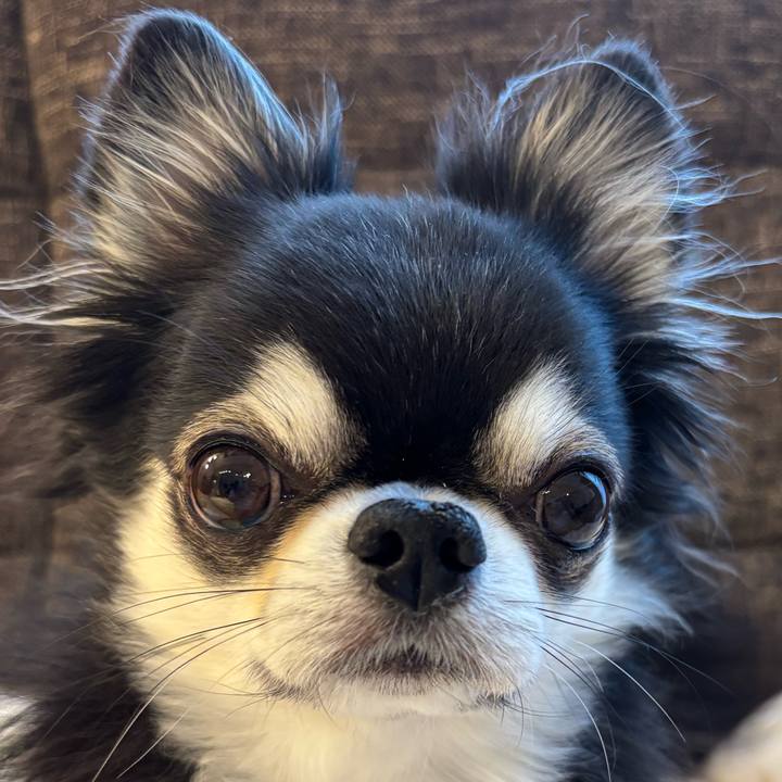 63415f47 b225 42bb 8654 280d9d5ba6e6 1737240666100