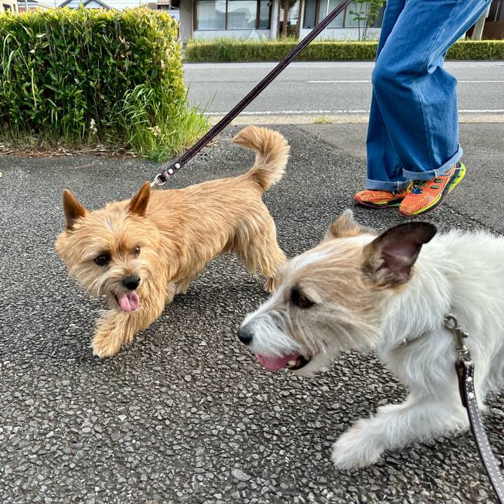 63416394 3c7b 4668 be70 f119ef1600a9 1745762613846