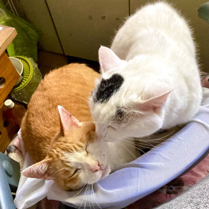 6341cd15 8805 4c40 baef 14a5f57ffce9 1659683570798