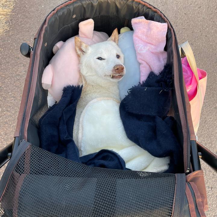 6342048e 0c17 48d0 a8f0 c6e2a273b2af 1676373887559