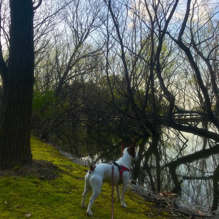 63422340 6276 4d4c ae2f 417e62148036 1522488406070