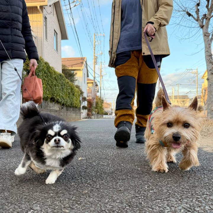 63424140 becd 4a56 ac6d 439041d2178b 1771678729138