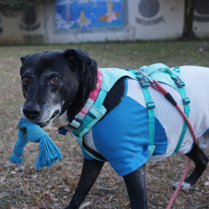 6342a4a8 3271 48a1 8963 9a9b3688fe8e 1769387711329