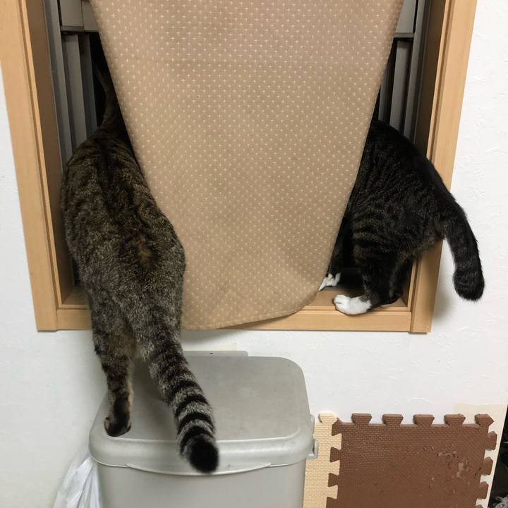 6342b5bf f1c2 43be ba35 ee15b3ec126e 1534452473286