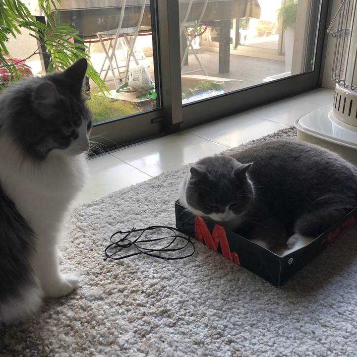 6342dc37 0a19 42b0 9848 a4479c7dd265 1546332602860