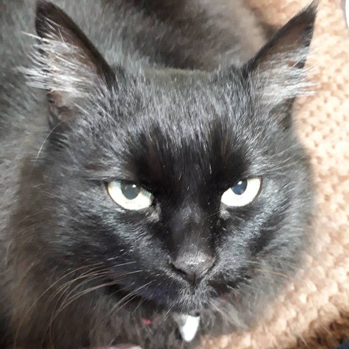 6342e527 c26e 497f 93da a5219c00ba18 1521664390160