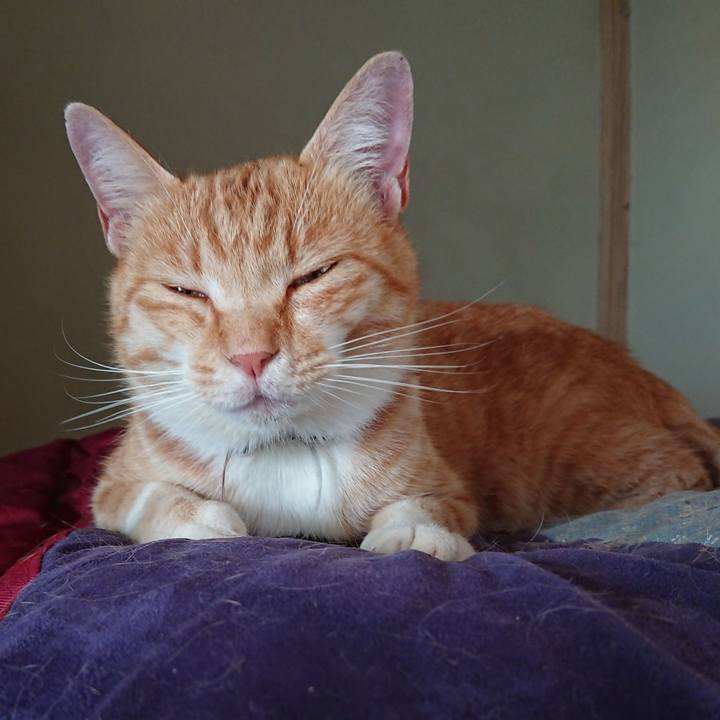 634349de da13 4bdd b8cf d0a07aac8a28 1592170882913