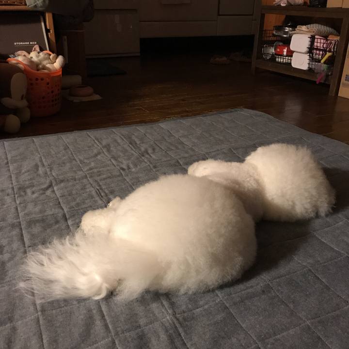 63435c9a 32c5 4e60 9ae5 0ed6d94f3814 1535283426850