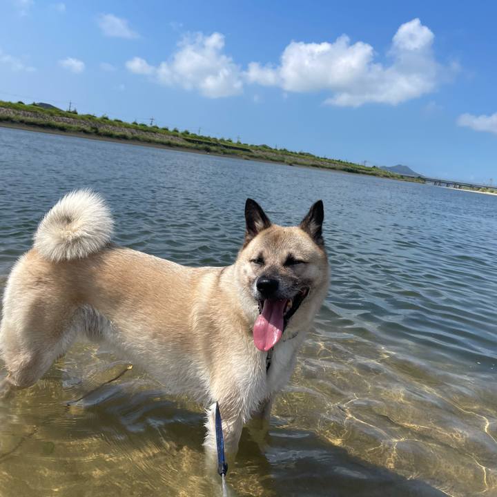 63438257 3335 4e1e aab9 4ecb7be7adb1 1691757791214