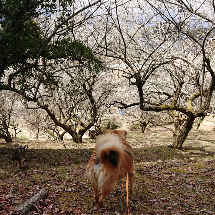 634396c6 3587 4921 b66a 86f5665c2932 1616663576084