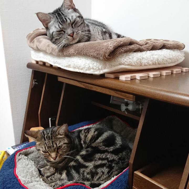 6343a8a9 7ee9 487d 9174 3f4f95290bda 1548504898315