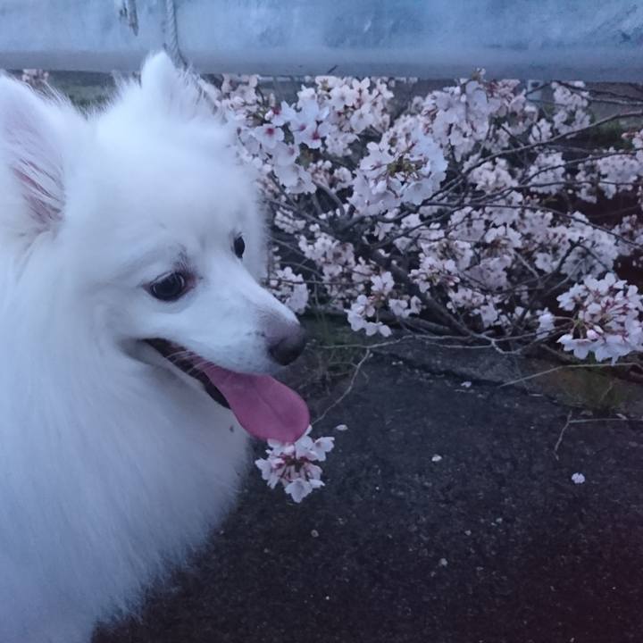 6343d7be 48c4 4cab 9200 31bc3c3a54e6 1617183878828