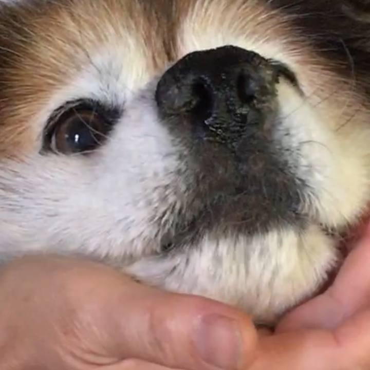 6343ffcf c558 4459 a5ea 55e077a10bca 1642872359919