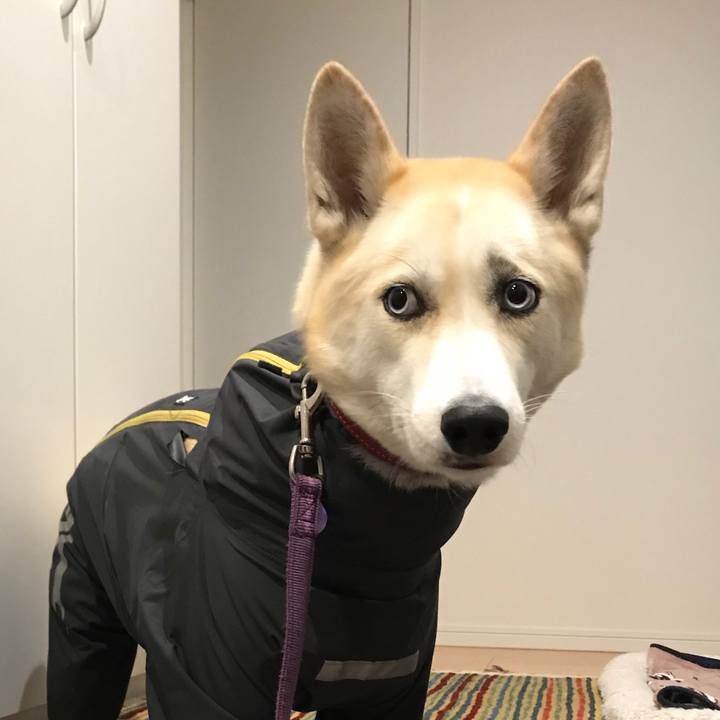 634402e5 5497 4699 b0b7 e5f5ce7d97a9 1544519098627