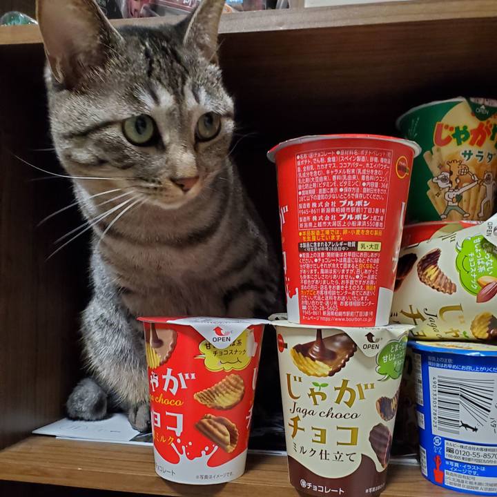 63440e1c 5657 4f2c 9b49 eed1dd0a3f86 1706197646709