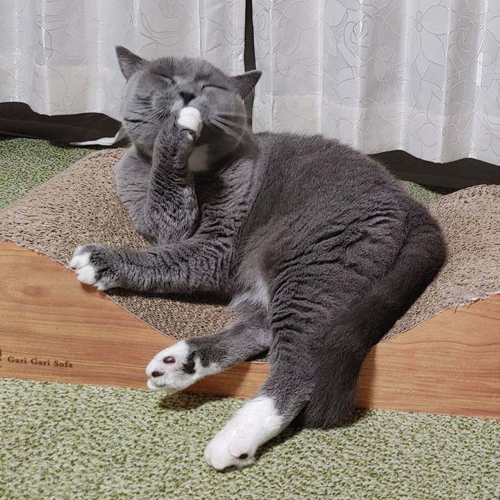 634424ff f79f 4209 a509 ed9daa834c90 1655633421546