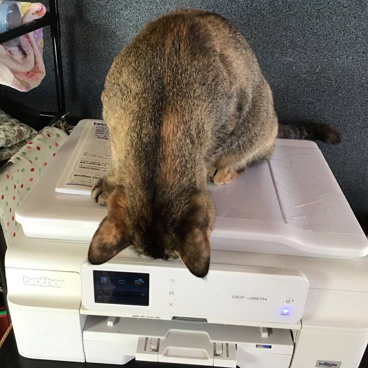 63444c79 2bb1 4a74 afa4 5cdabcee61ba 1577503787156