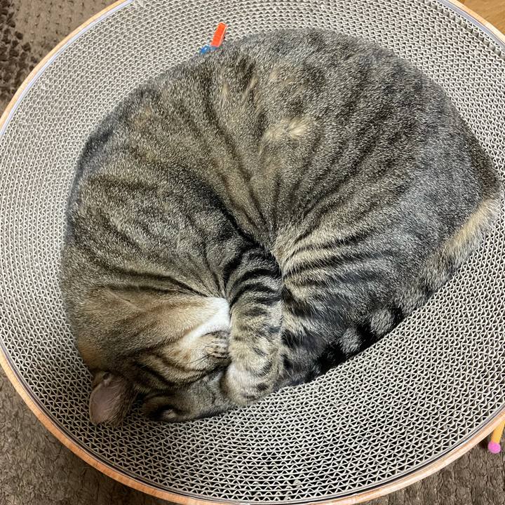 634450d9 c024 44e6 b5ce 561637b65149 1635154423265