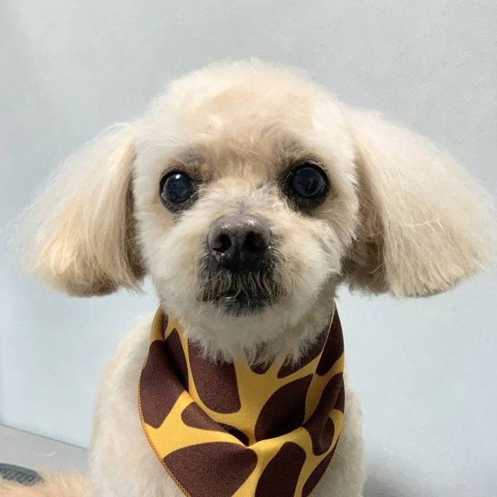 63446250 3c6f 46bb a460 1bd9629d7d06 1742115456258