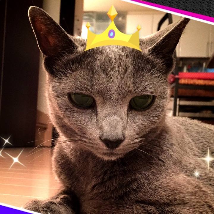 634469e1 9b26 41d5 bb73 3a8135d94193 1559603259407