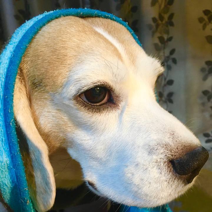 63449ed3 8eb5 448e 8beb fdd0afe9cf63 1574396552277