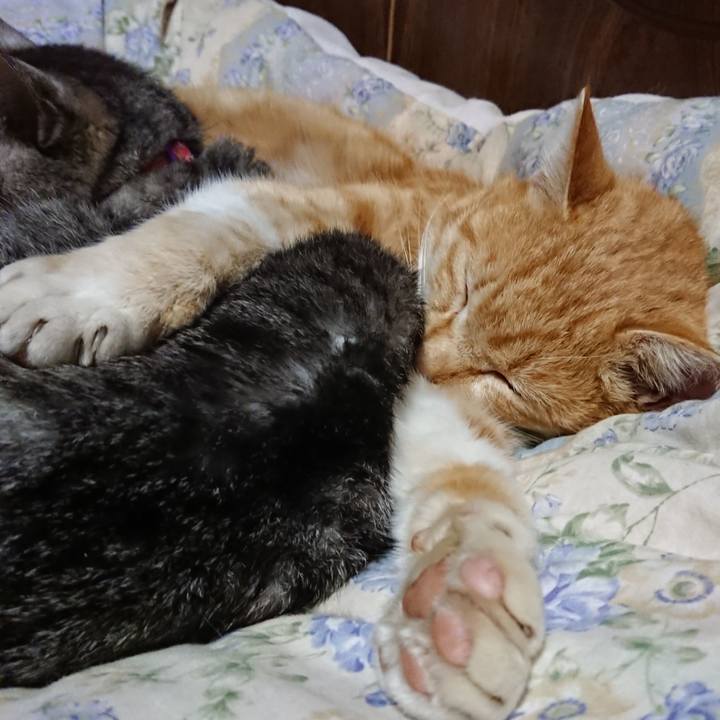 6344b137 dde9 4a7d 9c79 49978b241616 1583412680626