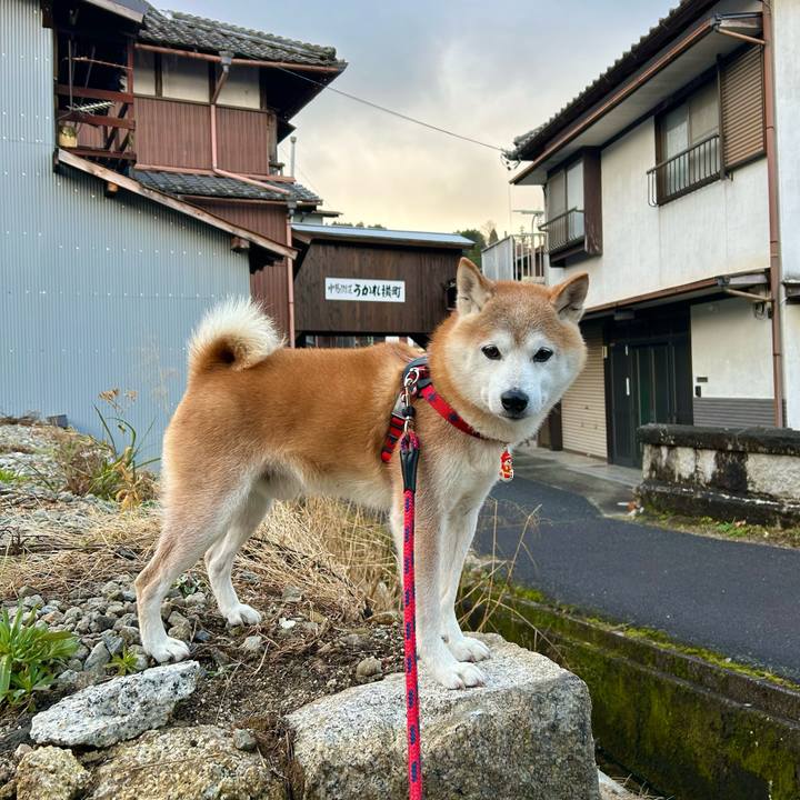 6344ea61 c5db 49e9 b770 eae3bee4ffcf 1735289162853