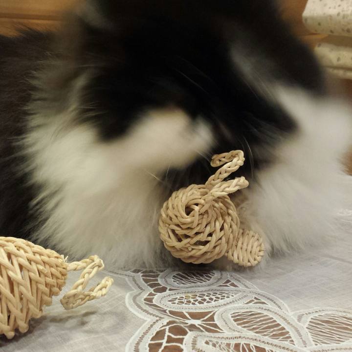 63452d76 a72e 4fc0 9470 579faa060fd8 1517116217330